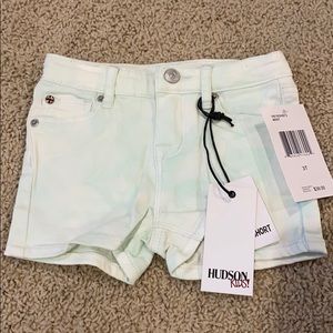 NWT Hudson 3T jean shorts in mint color